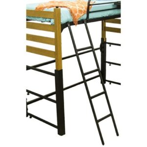 Ladder